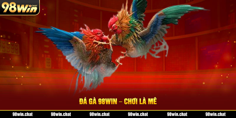 Đá gà 98WIN – Chơi là mê