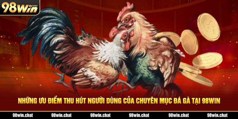 Những ưu điểm thu hút người dùng của chuyên mục đá gà tại 98Win