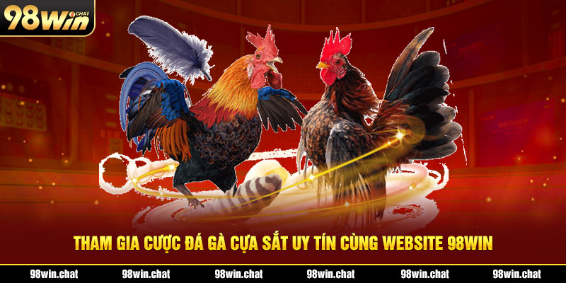 Tham gia cược đá gà cựa sắt uy tín cùng website 98win